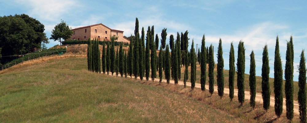 Casolare (Montalcino - Toscana)